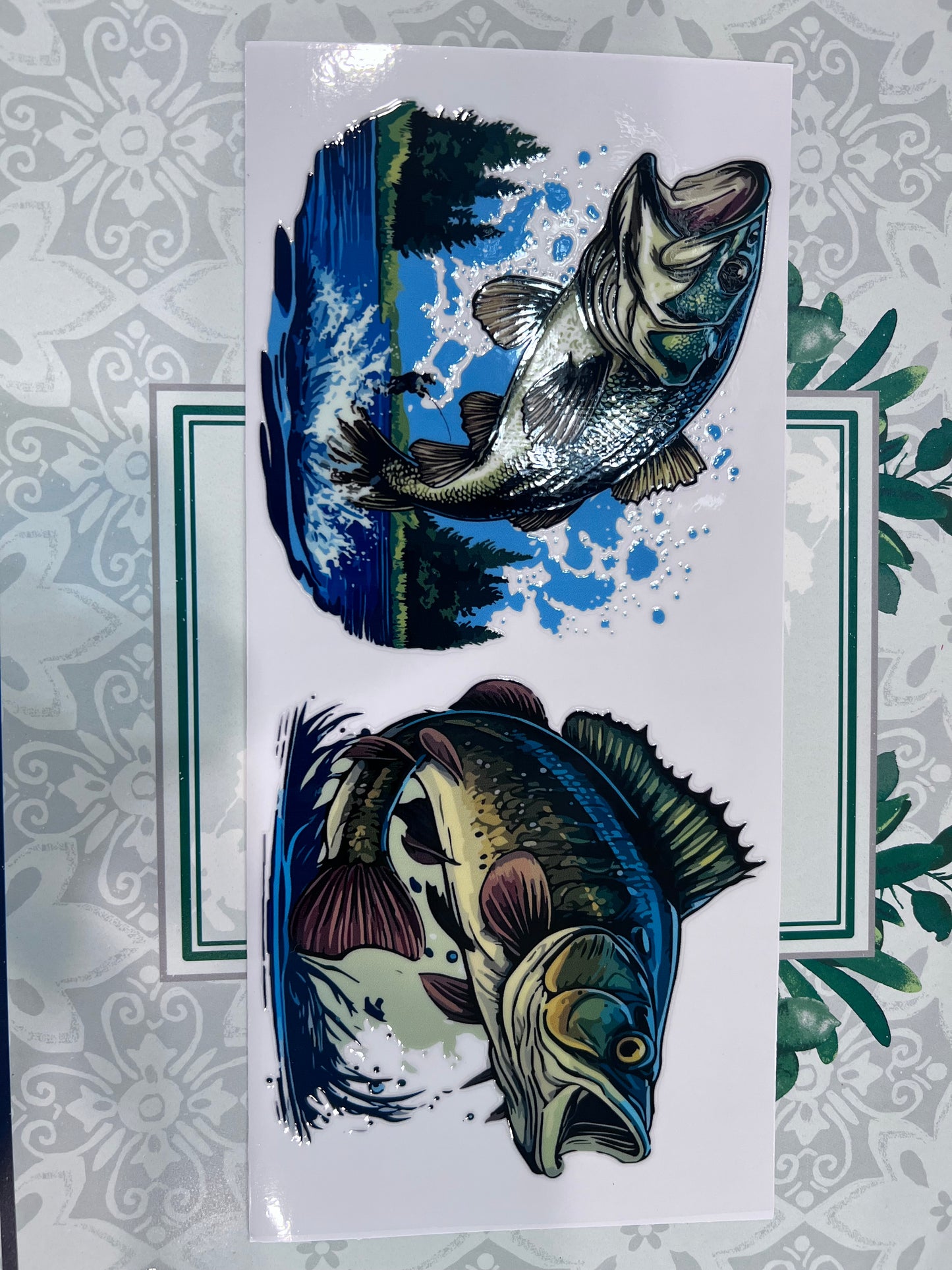 Fish Pictures