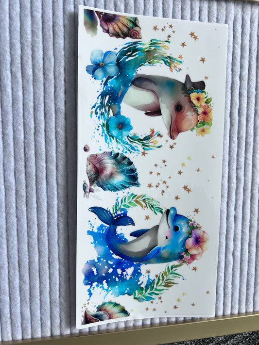 Dolphins