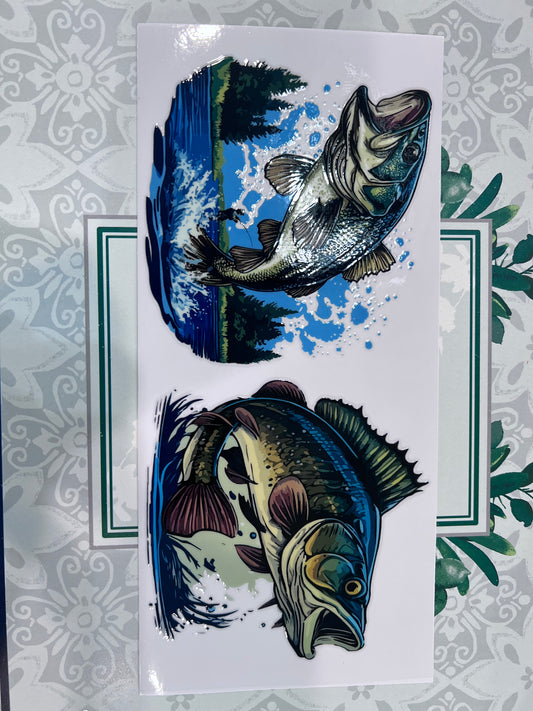 Fish Pictures