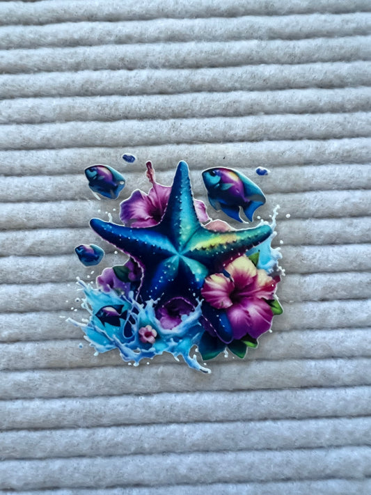Starfish & Fish
