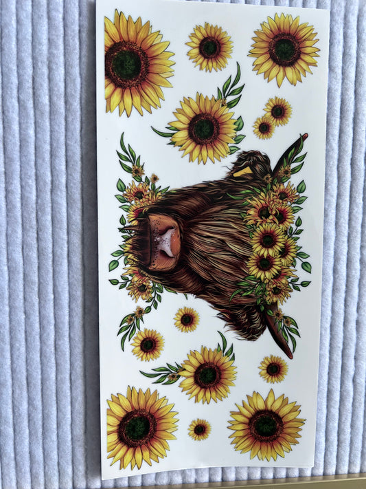 Highland Cow Sunflower