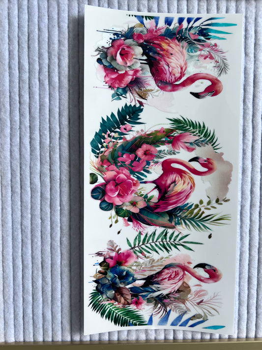 Flamingos