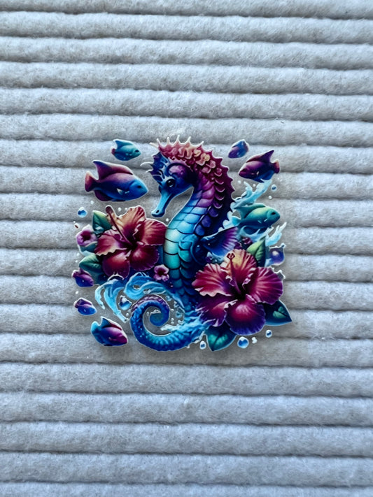 Seahorse & Fish